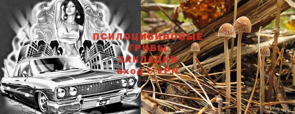 индика Алексеевка