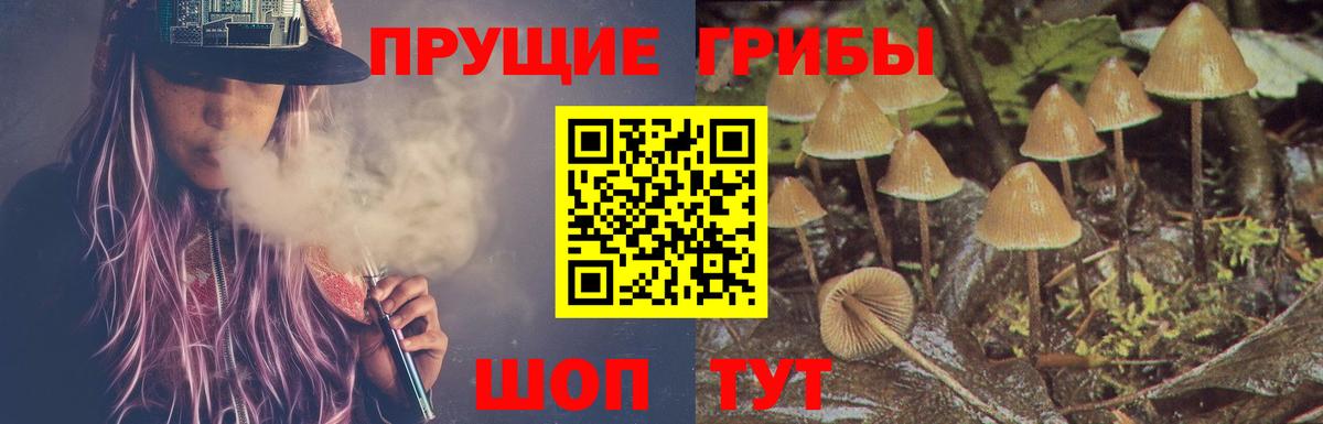 Галлюциногенные грибы MAGIC MUSHROOMS  Вход с VPN  Полевской  наркотики  Галлюциногенные грибы MAGIC MUSHROOMS 
